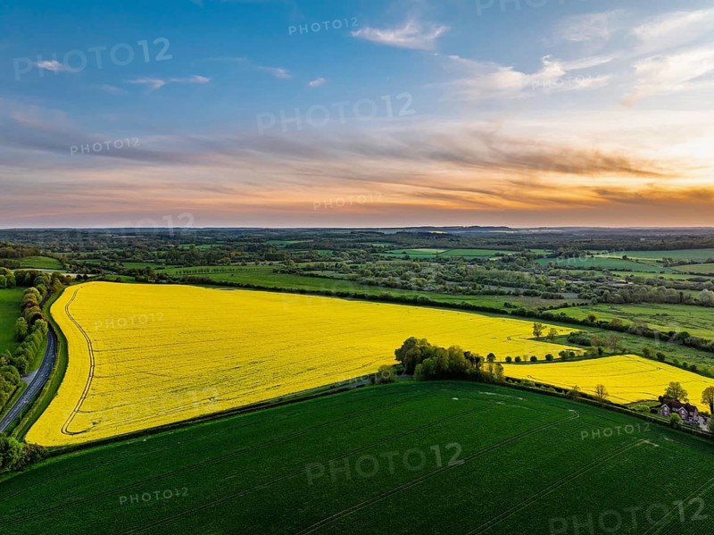Sunset of Rapeseed Fields and Farms over Horsebridge nad Stockbridge from a drone, Hampshire, England, United Kingdom