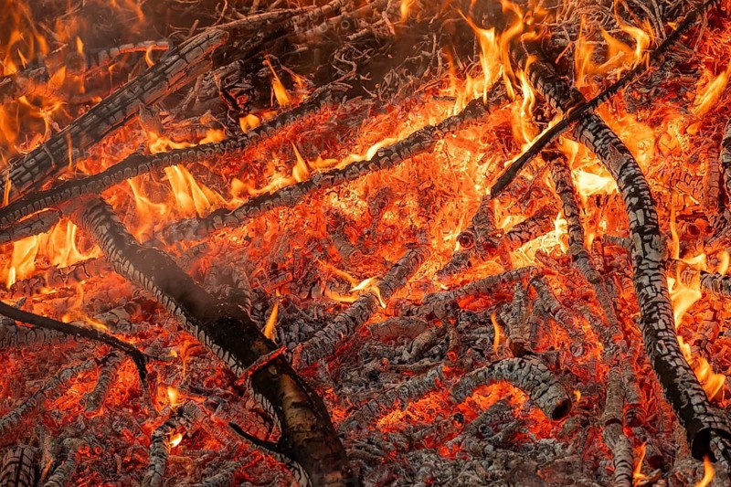 Charred branches and embers in an intense fire with flames, Finland