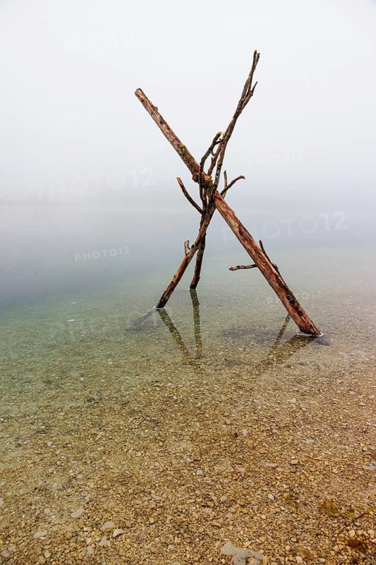 On a foggy morning, a wooden figure made of three branches stands in Lake Almsee. Austria