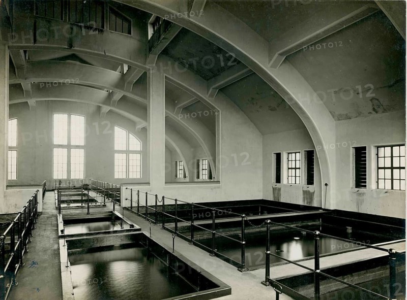 Jungfernheide Waterworks, Berlin, Architecture, Alfred Grenander, Large industrial interior with water basin and large windows, 1926, Willi Scholz