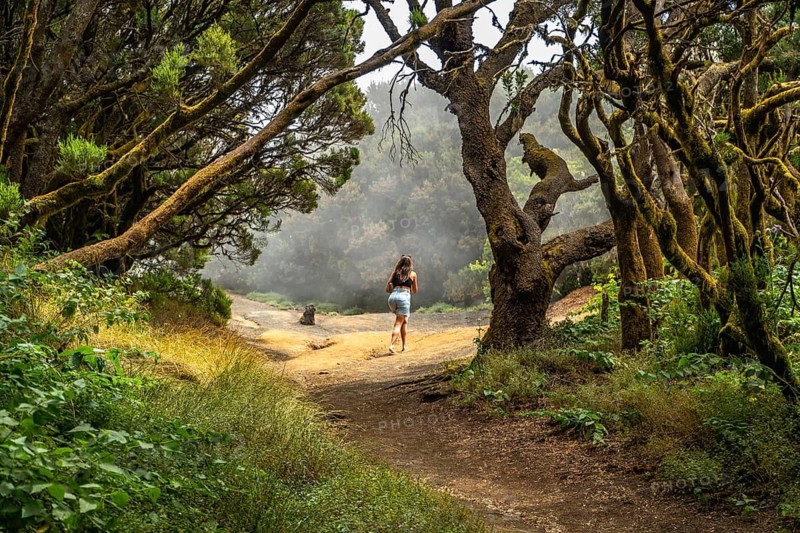 Woman enjoying an outdoor adventure, walking on a winding path through a misty green forest with old mossy trees, exploring the abundant nature of el hierro island