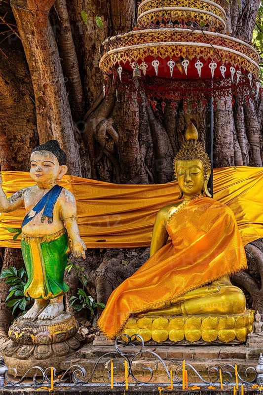 Gilded Buddha figure sitting under a canopy with orange cape, Wat Chiang Yuen Buddhist temple complex, Chiang Mai, Thailand