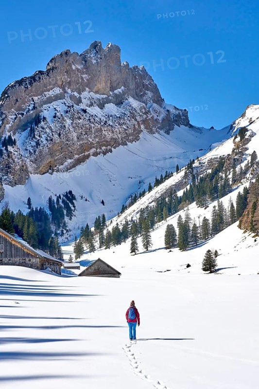 Woman hiking in the snowy mountain landscape of the Alpstein Säntis mountain range, Brülisau, Kanton Appenzell, Switzerland