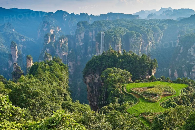 Sky garden and quartz sandstone pillars of the Tianzi Mountains in Zhangjiajie National Park, Zhangjiajie National Forest Park, Tianzishan Nature Reserve, Wulingyuan District, Yuanjiajie, Hunan Province, China, Avatar Mountains, Halleluja Mountains, Wulingyuan, Yuanjiajie, Hunan Province, China
