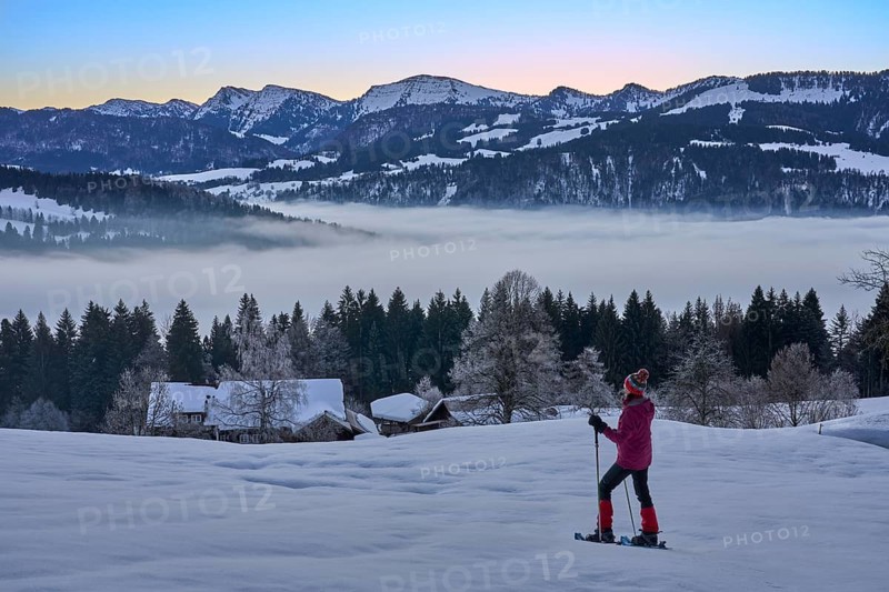 Sportive woman watching sunrise over the Nagelfluh mountain chain with Hochgrat summit in the Allgaeu Alps, Oberstaufen, Bavaria, Germany