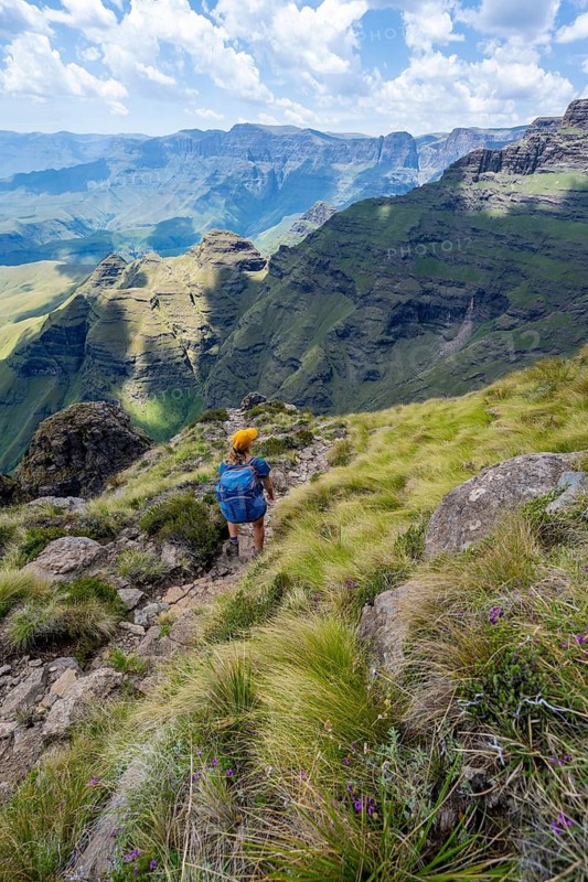 Female mountaineer hiking trail to Cathedral Peak or Cathedralpiek or Mponjwana, Drakensberg, KwaZulu-Natal, South Africa