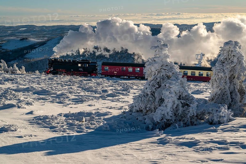 The Brocken Railway with steam locomotive in atmospheric backlight on the way to the Brocken summit, snow-covered and ice-covered spruce trees in the foreground, the vast winter landscape, Harz National Park, Saxony-Anhalt, Germany