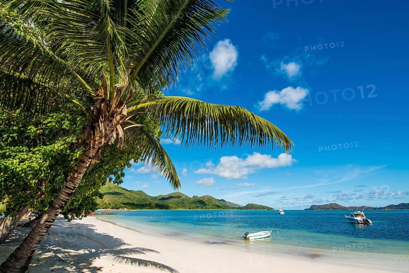 Anse Government Beach at Hotel L'Archipel Resort, Praslin, Republic of Seychelles, Indian Ocean
