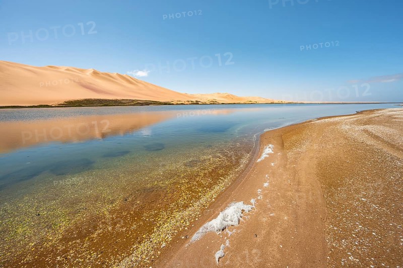 Sand dunes are reflected in Sandwich Harbour Lagoon, Impressive Desert Landscape, Namib Naukluft Park, Namib Desert, Namibia