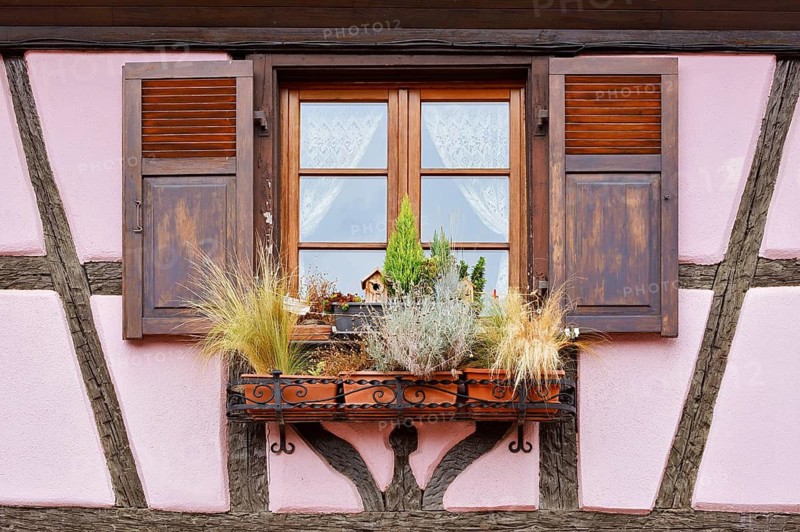 Half-timbered house house, window with shutters, Turckheim, Haut-Rhin, Alsace, Grand Est, France