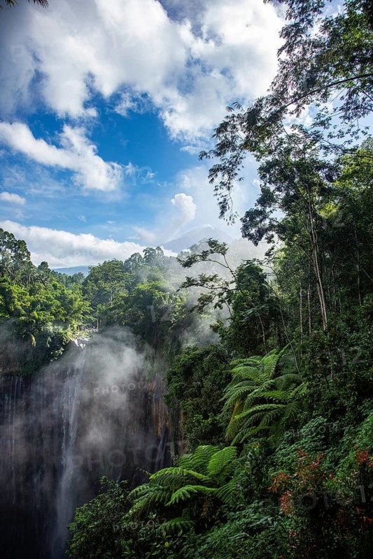 View of a wooded mountainside with fog and blue sky surrounded by lush vegetation, view of cascading waterfalls surrounded by lush green forests, an impressive spectacle of natural beauty, Tumpak Sewu Waterfall, East Java, Indonesia