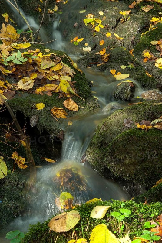 Autumn, stream, flowing water, autumn, high size, portrait format, landscape, spring area
