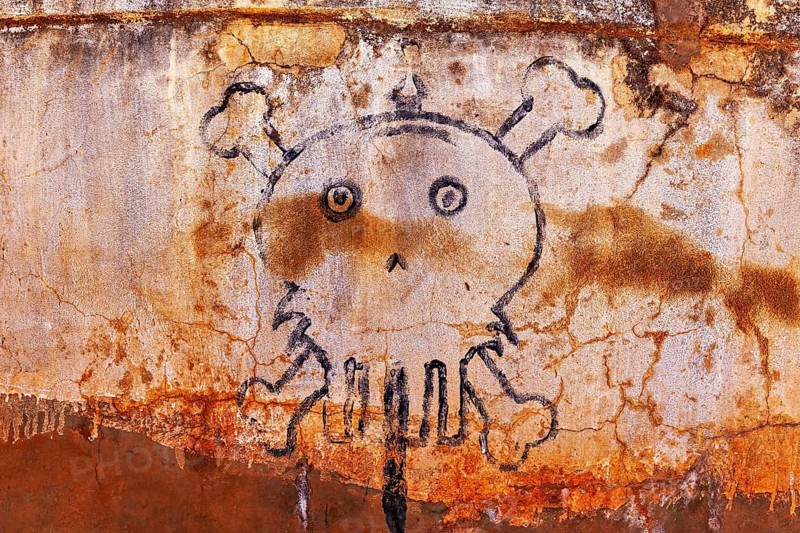 Sketch-like skull with bones on a rough, rusty concrete wall, painted skull on a wall