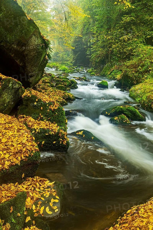 Autumn on a stream in the Elbe Sandstone Mountains in the Saxon Switzerland National Park, Lohmen, Saxony, Germany
