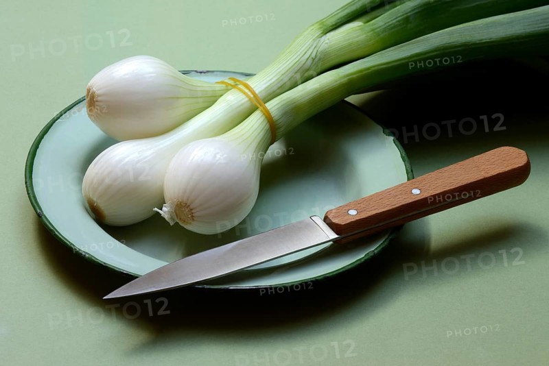 Spring onion with knife on plate, Allium cepa