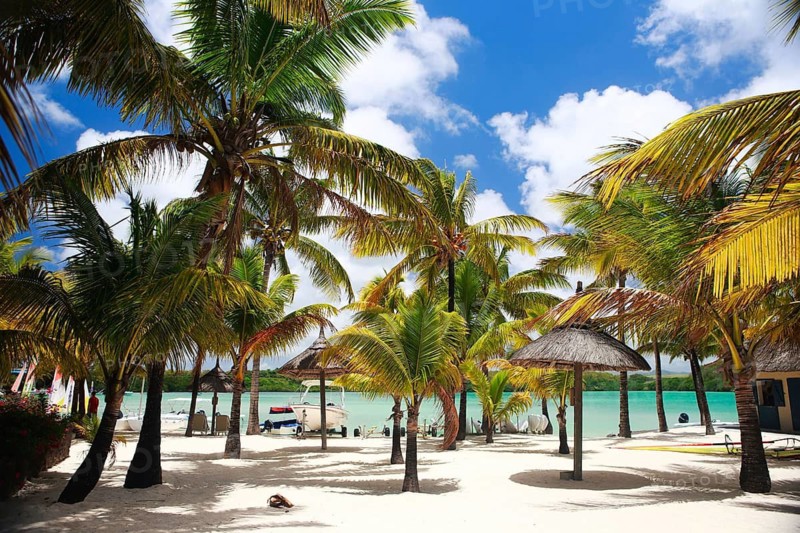 Africa, Mauritius island, A beautiful beach with palm trees on the island of Mauritius, Mauritius