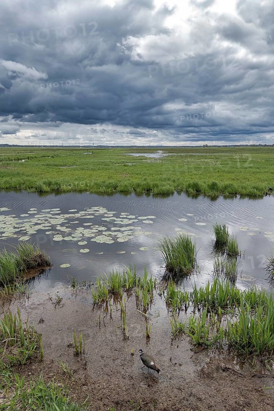 Reflection in the Hunte during stormy cloudy sky in the wetland at Dümmer See, Hüde