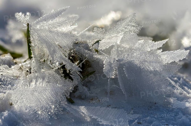 Detail, ice, ice crystal, frost, snow, winter