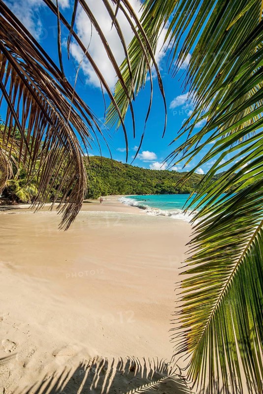 Anse Lazio Beach, Praslin, Republic of Seychelles, Indian Ocean