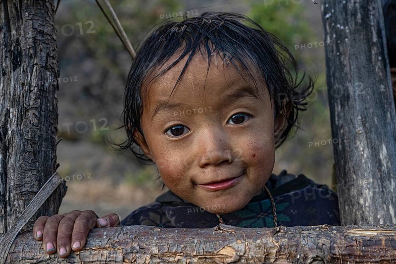 Portrait, small hunge looking through fence, local of the Tsumba Tibetan ethnic group, Tsum Valley, Himalayas, Nepal