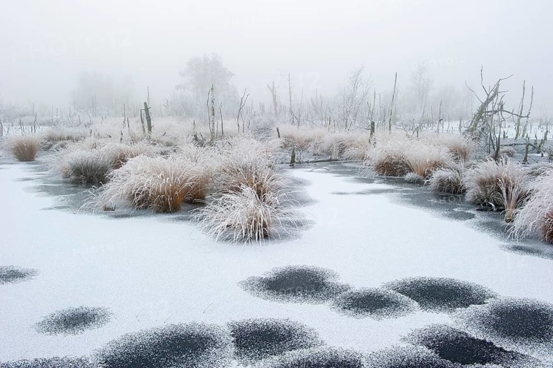 Winter with hoarfrost and snow in Goldenstedter Moor, Goldenstedt, Lower Saxony, Germany