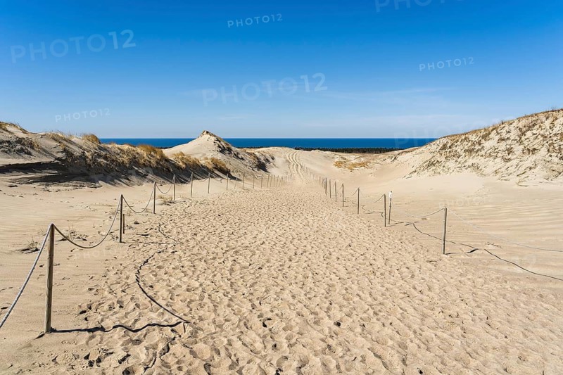 The Gray Dunes, or the Dead Dunes is sandy hills with a bit of green specks at the Lithuanian side of the Curonian Spit, A sandy path through dunes leading to the sea under a clear blue sky, Curonian Spit, Neringa, Lithuania