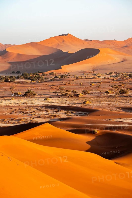 Large red sand dunes in the Namib Desert, Namib Naukluft Park, Namibia