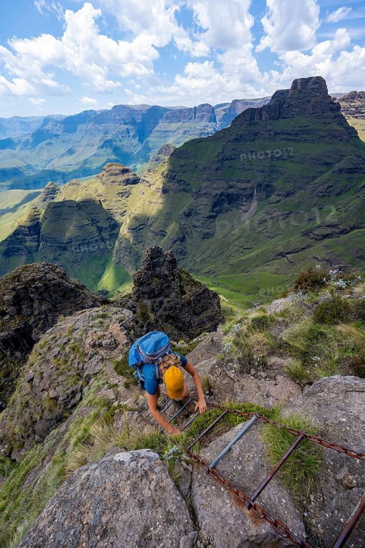 Steep ladder, female mountaineer on the hiking trail to Cathedral Peak or Cathedralpiek or Mponjwana, Drakensberg, KwaZulu-Natal, South Africa