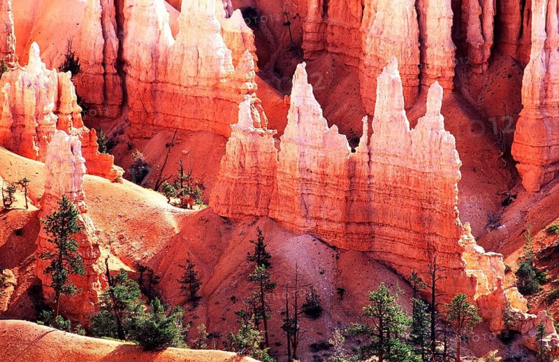 Geography, Bryce Canyon NP, Utah, USA, national park, erosion, sandstone. Geography, Travel, Sandstone, Stone, red, Bryce Canyon NP, National Park, Bryce Canyon, Utah, USA, Bryce Canyon NP, UTAH, USA