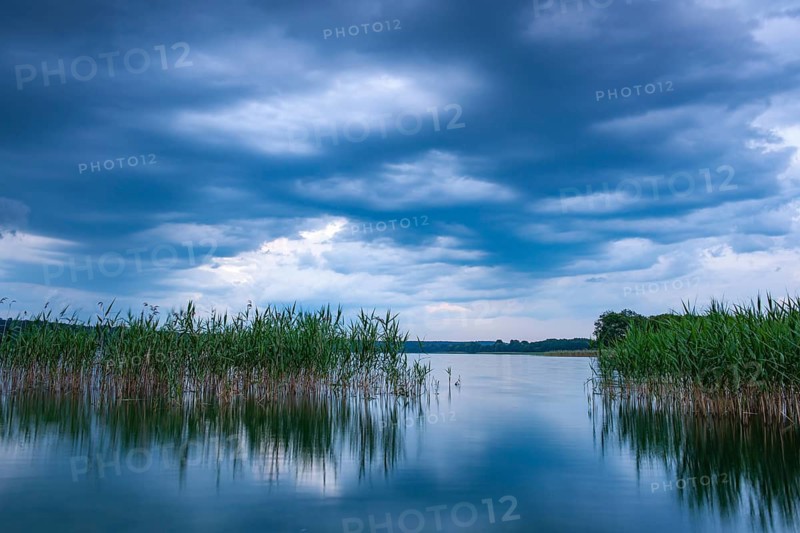 Silence over Breite Luzin, Lake, Mecklenburg-Western Pomerania, Feldberg Lake District, Mecklenburg-Western Pomerania, Germany