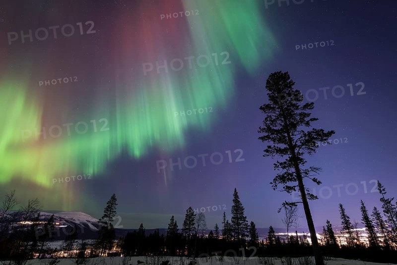 Northern Lights (Aurora borealis), Gällivare, Norrbotten, Lapland, Sweden, December 2024