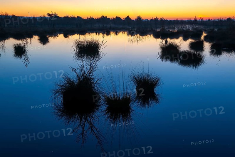 Daybreak in Goldenstedter Moor, Goldenstedt, Lower Saxony, Germany