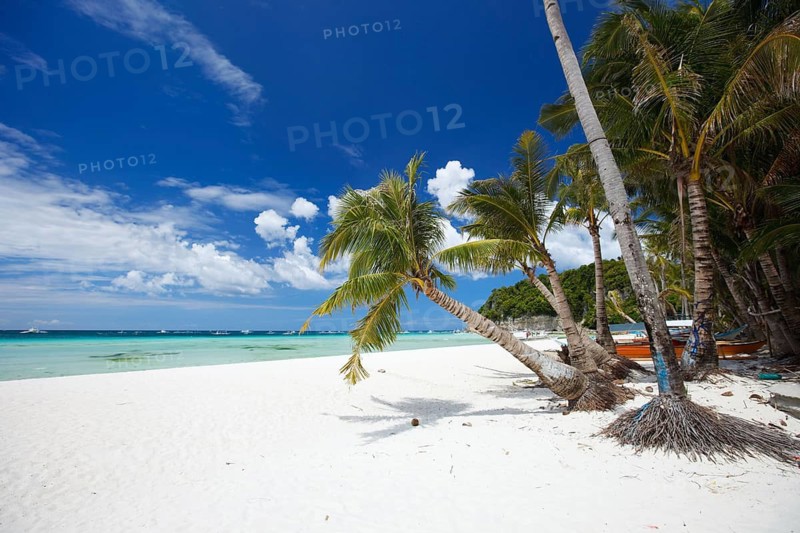 Asia, Philippines, Boracay island, palm beach, beach, cumulus clouds, dream beach