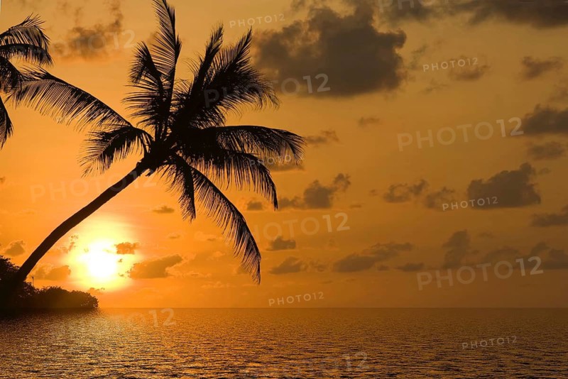 Sunset on a dream beach in the Caribbean, Caribbean, USA