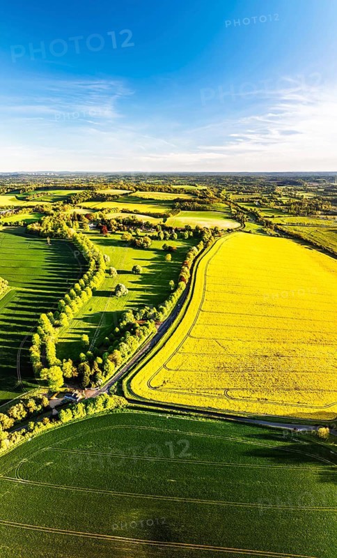 Panorama of Rapeseed Fields and Farms over Horsebridge nad Stockbridge from a drone, Hampshire, England, United Kingdom