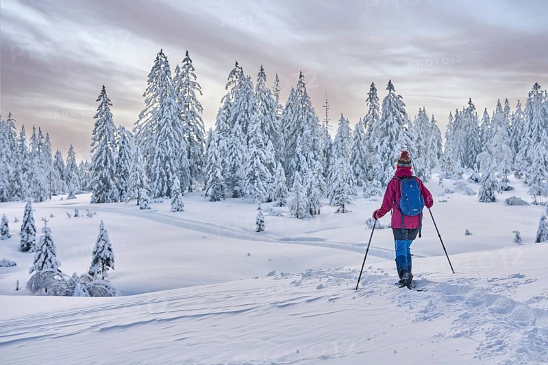 Nice and active senior woman hiking with snow shoes in deep powder snow in the Hochhaedrich area of Bregenz Forest, Hittisau, Vorarlberg, Austria