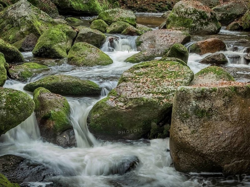 A stream with rocks and running water. Experience the landscape in nature, Austria