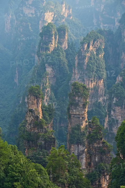 Panoramic view of the quartz sandstone pillars of the Tianzi Mountains in Zhangjiajie National Park, Avatar Mountains, Halleluja Mountains, Wulingyuan, Yuanjiajie, Hunan Province, China