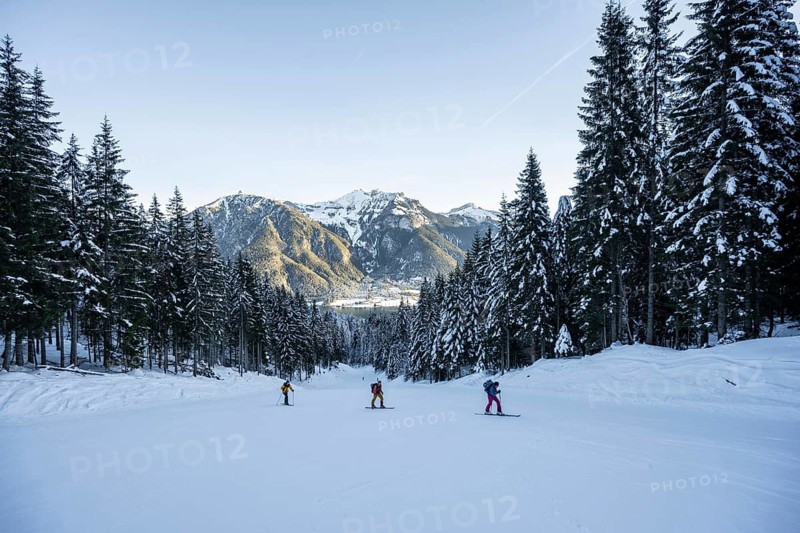 Three ski tourers climbing a slope, Bärenkopf, Achensee, Tyrol, Austria