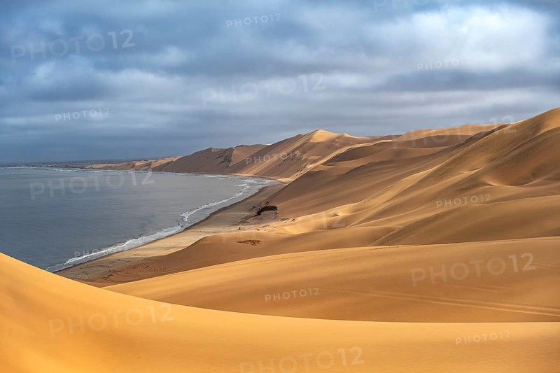 Sand dunes and sea in morning light, Atlantic coast and sandy desert with sea of dunes, Sandwich Harbour, Namib Naukluft Park, Namib Desert, Namibia