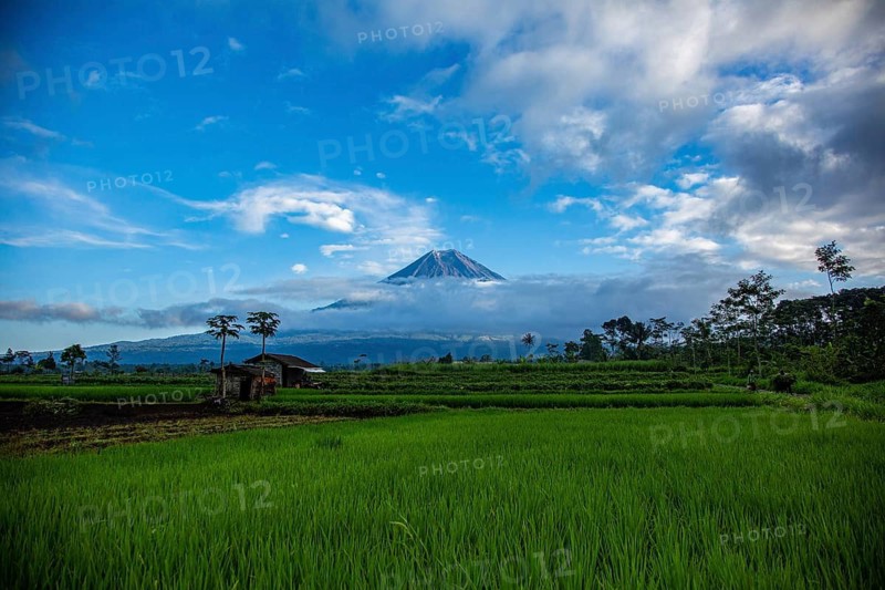 A volcano far away nestled in a landscape of green fields and trees under a blue sky, Volcano, Sumatra, Jakarta, Indonesia