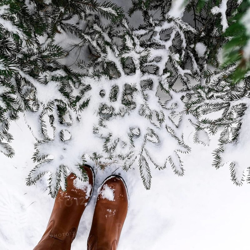 View of snow-covered pine branches from above, with brown boots visible, creating a wintry outdoor atmosphere. Pair of brown boots stands on fresh snow next to evergreen branches dusted with frost. Top-down perspective highlights winter textures, contrasting dark green needles with bright white snow. The scene conveys cold season atmosphere, outdoor simplicity, natural detail, and the quiet beauty of winter landscapes with footwear as a subtle lifestyle element. Woman feet on a snow, personal perspective
