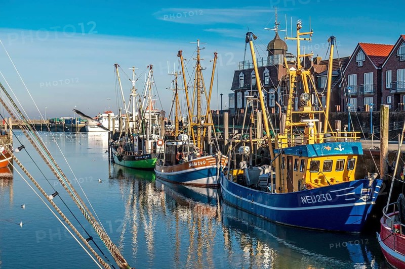 The port of Neuharlingersiel, East Frisia, Lower Saxony, fishing boats, fishing trawler, East Frisia, Lower Saxony, Federal Republic of Germany