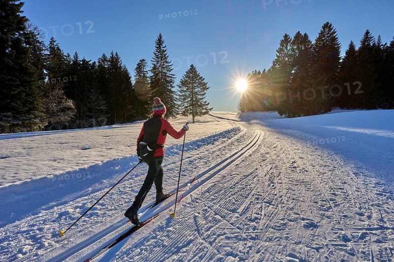 Sportive woman crosscountry skiing at sunset in the Bregenz Forest mountains, Sulzberg, Vorarlberg, Austria