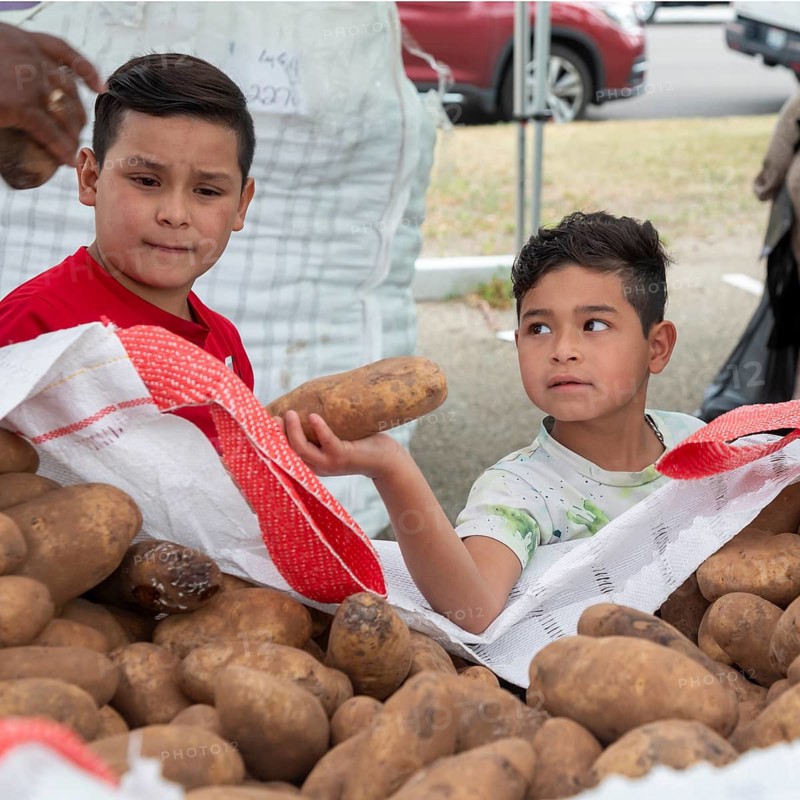 Denver, Colorado - The nonprofit We Don't Waste distributes 21 tons of surplus potatoes to area residents. The organization collects food that would otherwise be sent to landfills and distributes it to those who need it