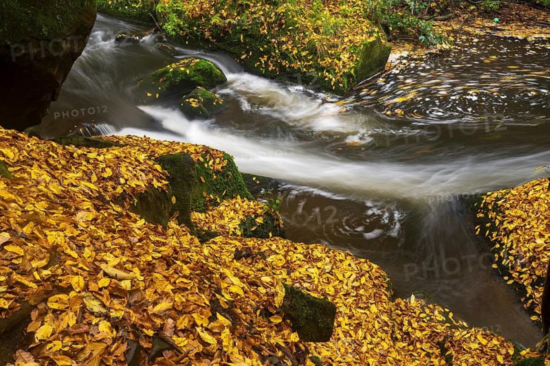 Autumn on a stream in the Elbe Sandstone Mountains in the Saxon Switzerland National Park, Lohmen, Saxony, Germany