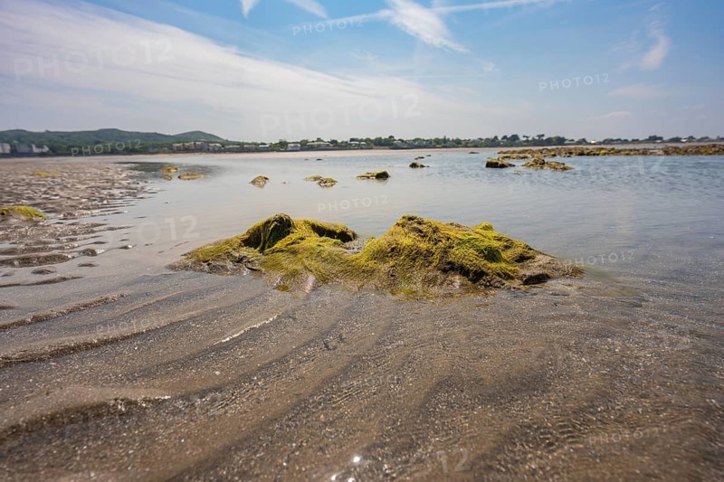 Rocks with algae in shallow water under blue sky, low tide, Howth beach, Ireland
