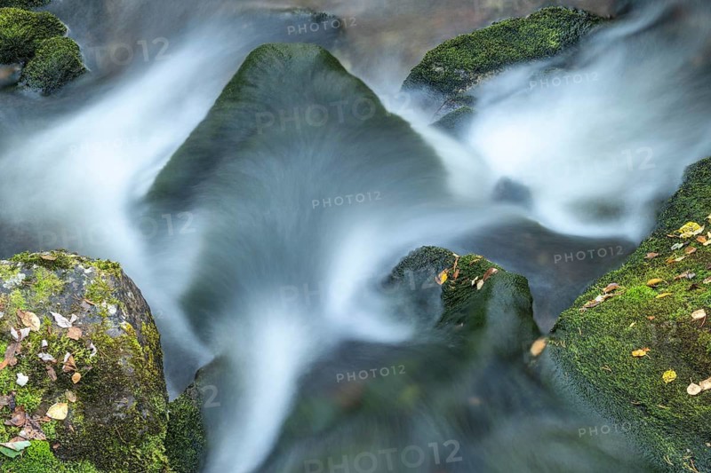 Moss-covered stones in mountain stream, Alvdal, Hedmark, Innlandet, Norway, September 2025