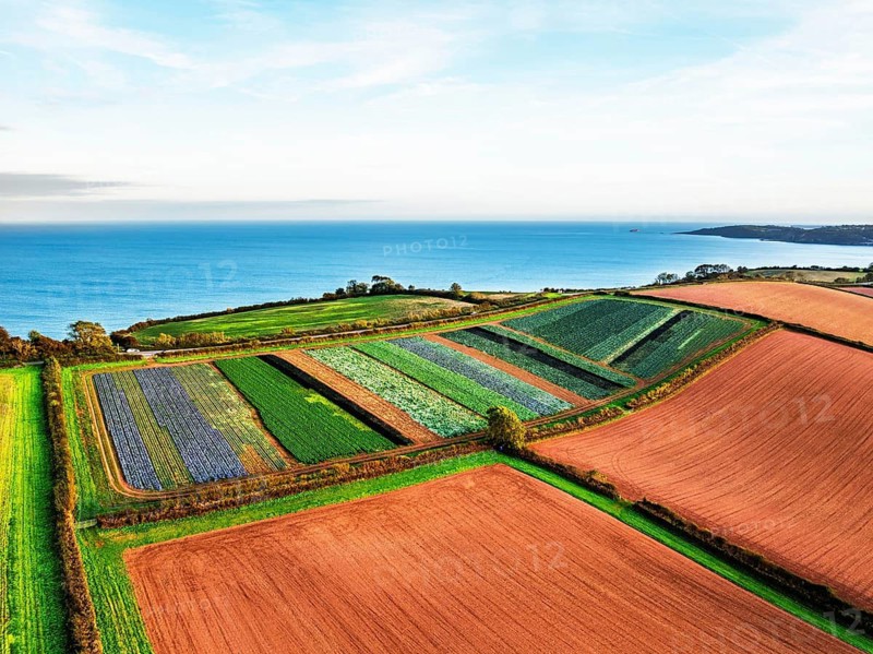 Colours of autumn Fields and Farms over Sheldon from a drone, Torbay, Devon, England, United Kingdom