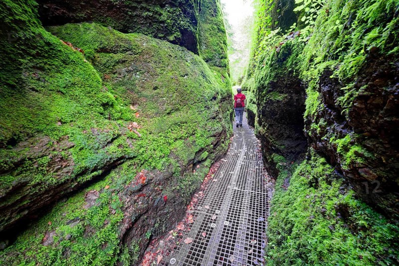 Hiking in the Dragon Gorge, gorge, hiking trail, hiking destination, fascinating, erosion, Eisenach, Thuringian Forest, Thuringia, Germany